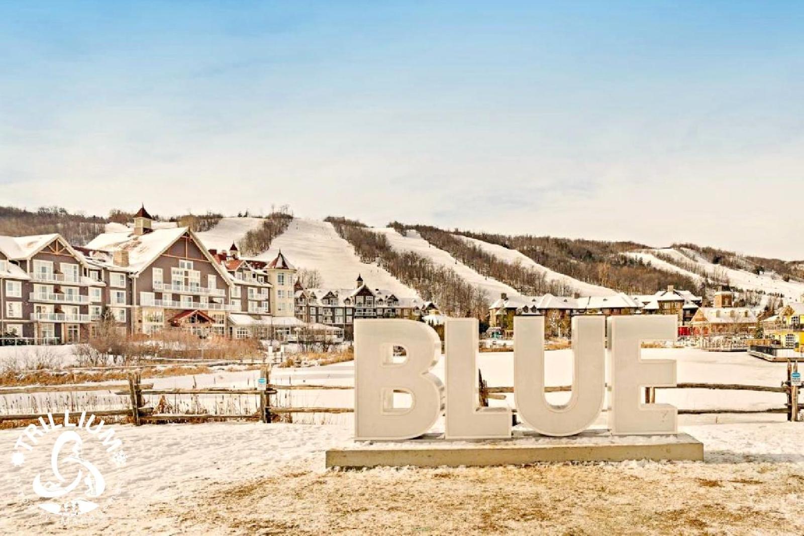 Blue Mountain, Collingwood - Loft Condo, Sleeps 4 蓝山 外观 照片