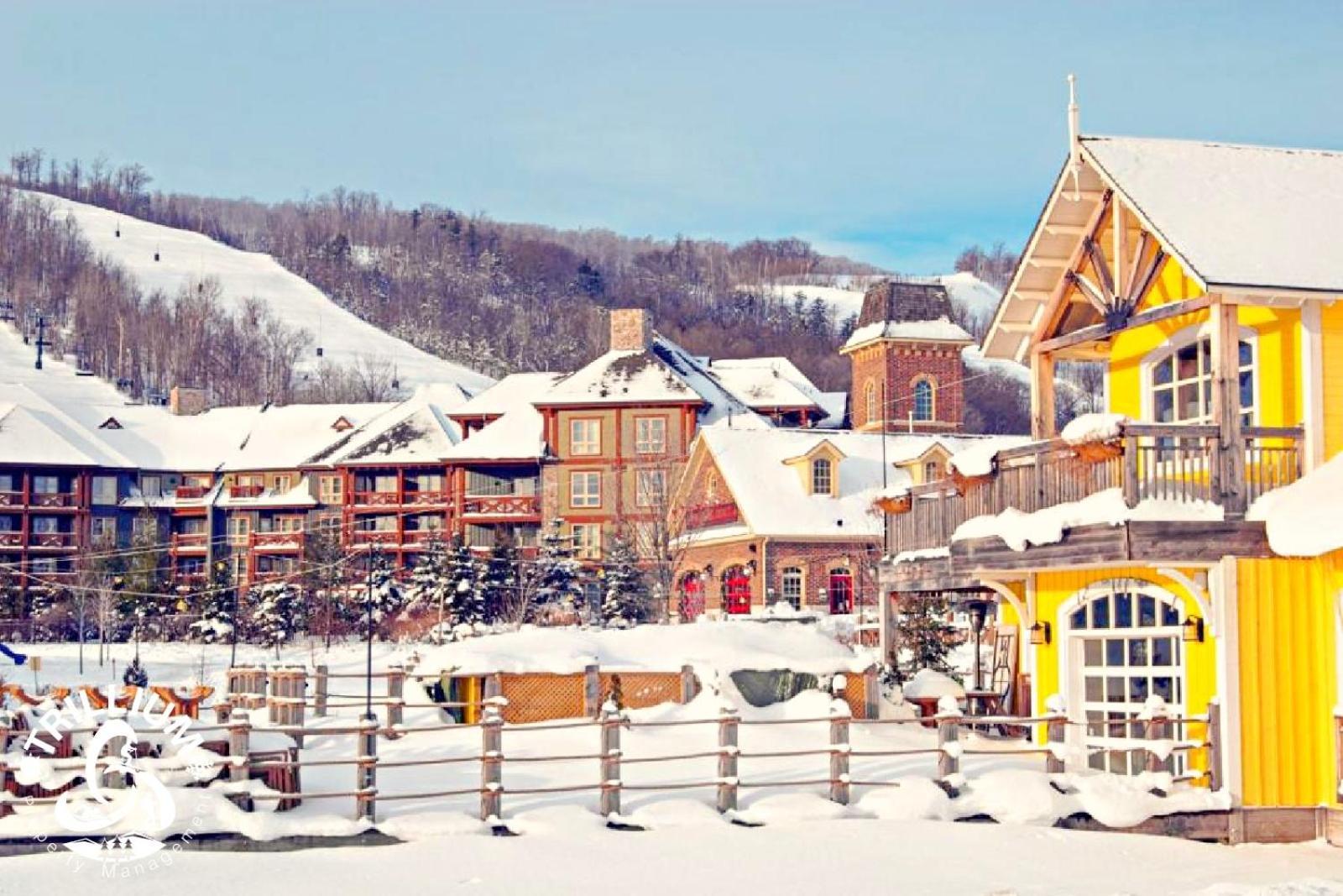 Blue Mountain, Collingwood - Loft Condo, Sleeps 4 蓝山 外观 照片