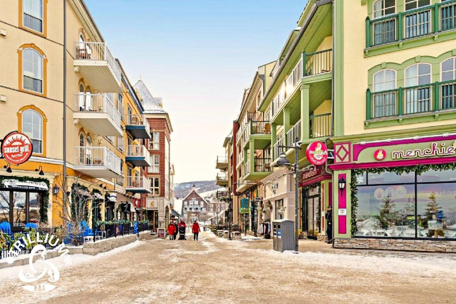 Blue Mountain, Collingwood - Loft Condo, Sleeps 4 蓝山 外观 照片